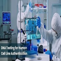 The Importance of Cell Line Authentication Test For Research Purposes 